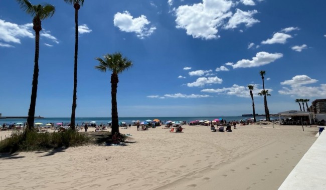 Segunda mano - Apartamento - Torrevieja