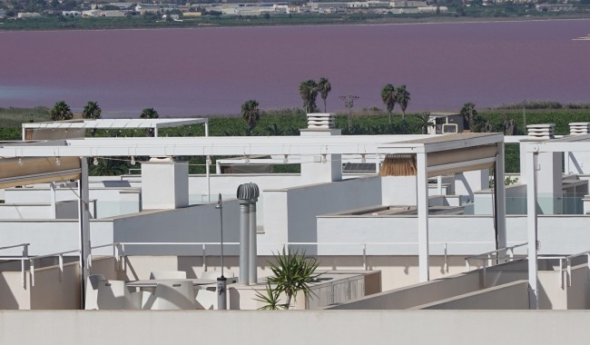 Segunda mano - Apartamento - Torrevieja - Los Balcones