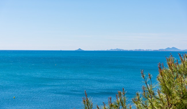 Sprzedaż - Apartament - Orihuela Costa - Cabo Roig