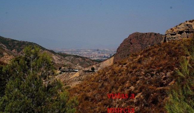 Begagnad - Finca - Gea Y Truyols