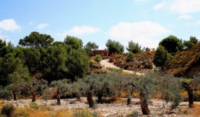 Begagnad - Finca - Gea Y Truyols