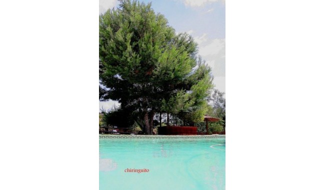 Begagnad - Finca - Gea Y Truyols