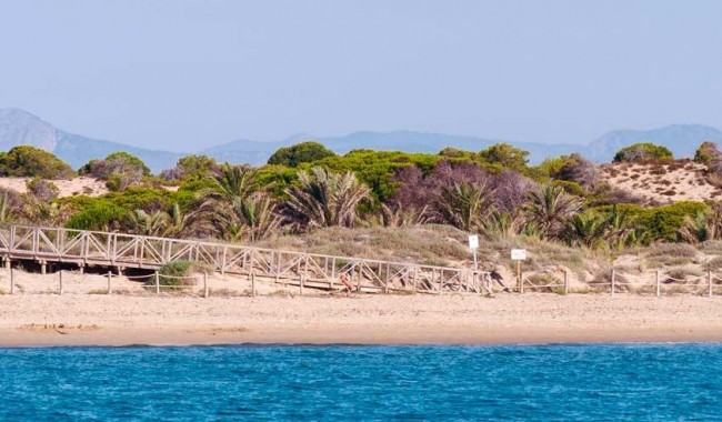 Nybygg - Leilighet - Guardamar - Pueblo