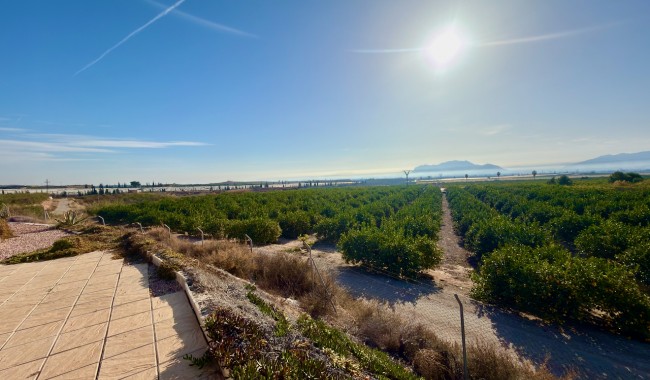 Brukt - Finca - Orihuela - Orihuela Costa