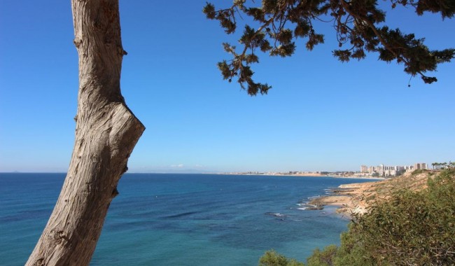 Brukt - Villa - Orihuela Costa - Cabo Roig