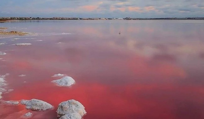 Nowa konstrukcja - Kamienica - Torrevieja - Lago jardin
