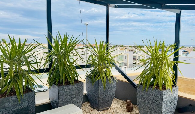 Segunda mano - Villa - Orihuela Costa - Cabo Roig