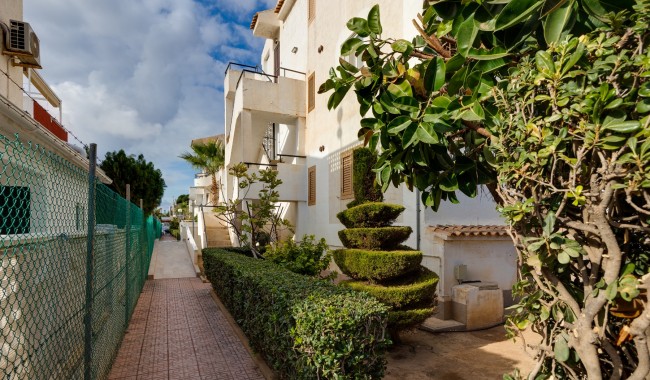 Sprzedaż - Apartament - Torrevieja - Playa De Los Locos