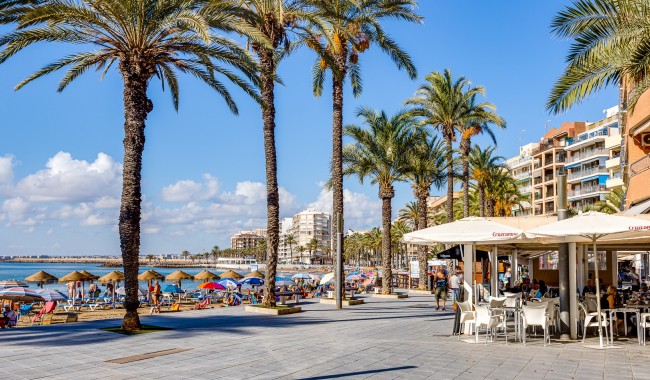 Sprzedaż - Apartament - Torrevieja - Playa De Los Locos