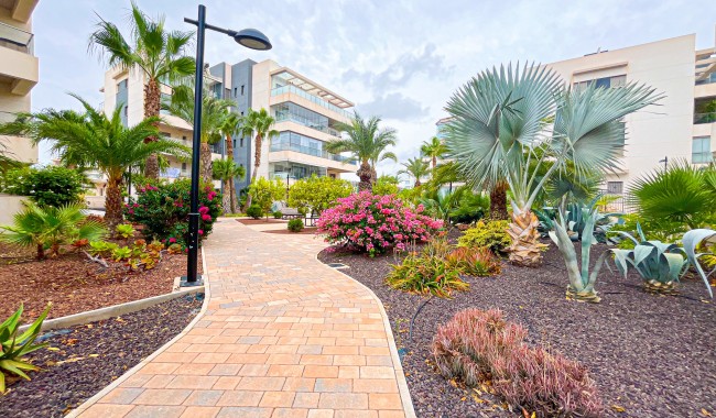 Resale - Apartment - Orihuela Costa - Villamartín