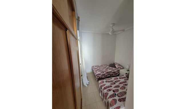 Segunda mano - Adosado - Orihuela - La Florida