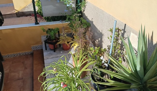 Begagnad - Lägenhet - Los Montesinos - La Herrada