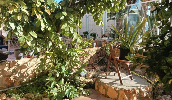 Begagnad - Lägenhet - Los Montesinos - La Herrada