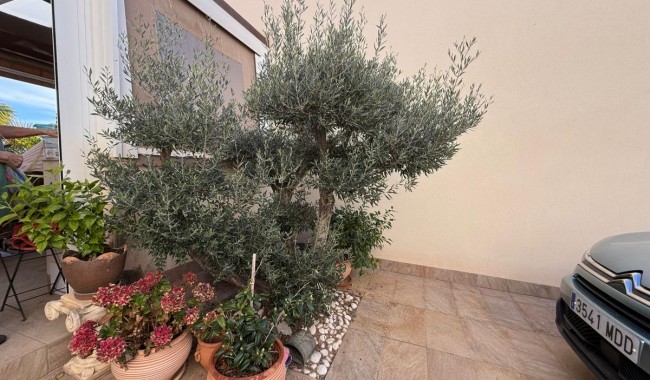 Sprzedaż - Willa - Los Montesinos