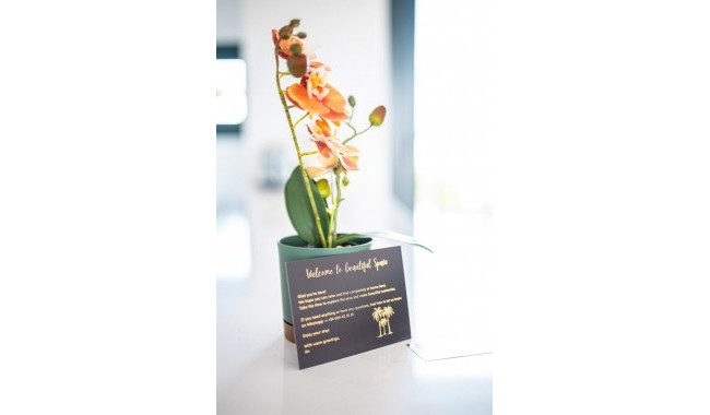 Sprzedaż - Apartament - Pilar de La Horadada