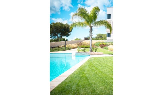 Sprzedaż - Apartament - Pilar de La Horadada