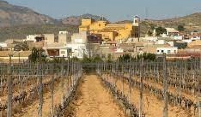 Nybygg - Rekkehus - Hondon de las Nieves - El Salero