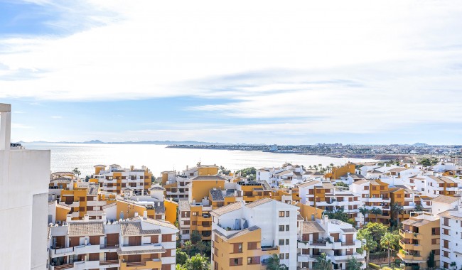 Segunda mano - Apartamento - Torrevieja - Punta Prima