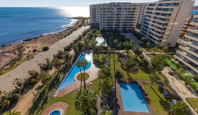 Sprzedaż - Apartament - Torrevieja - Punta Prima