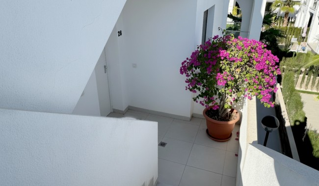 Sprzedaż - Apartament - Ciudad Quesada - Doña Pepa, Quesada