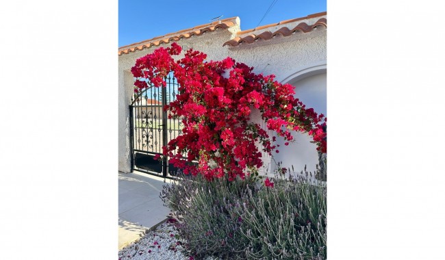 Segunda mano - Villa - Torrevieja - San Luis