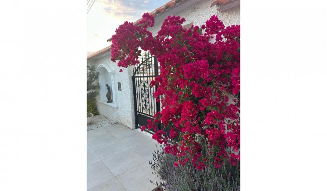 Segunda mano - Villa - Torrevieja - San Luis