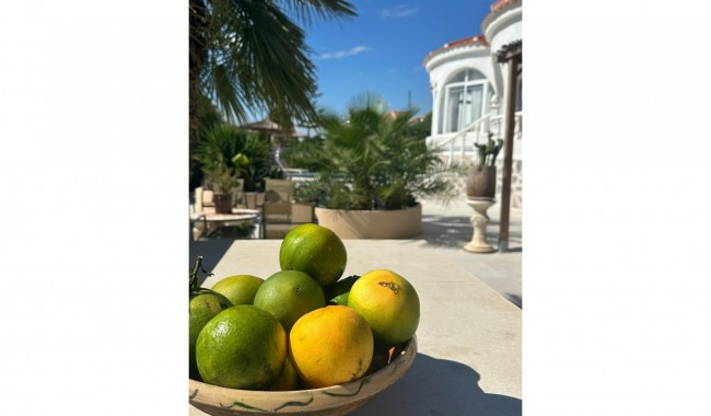 Segunda mano - Villa - Torrevieja - San Luis