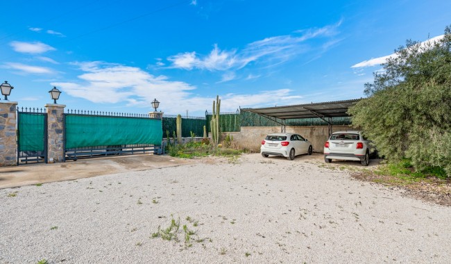 Sprzedaż - Willa - Elche - Elche/Elx