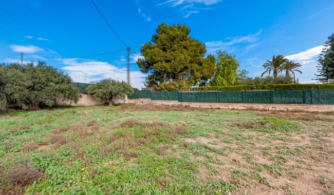 Sprzedaż - Willa - Elche - Elche/Elx