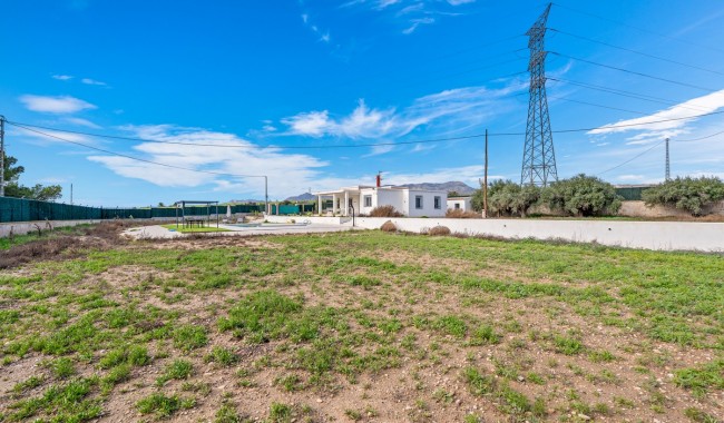 Sprzedaż - Willa - Elche - Elche/Elx