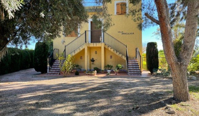 Finca - Brukt - Daya Nueva - Daya Nueva