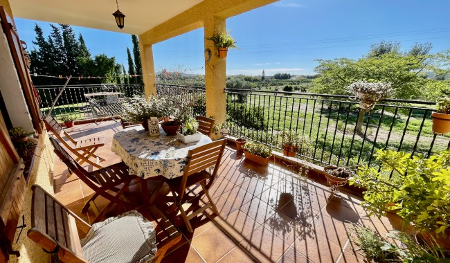 Begagnad - Finca - Daya Nueva