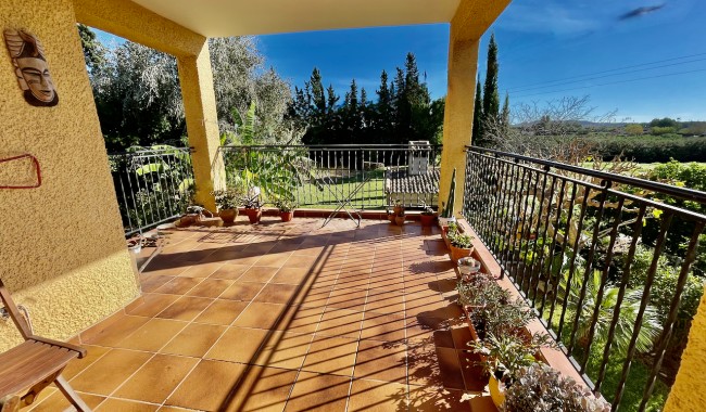 Begagnad - Finca - Daya Nueva