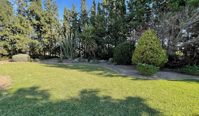 Begagnad - Finca - Daya Nueva