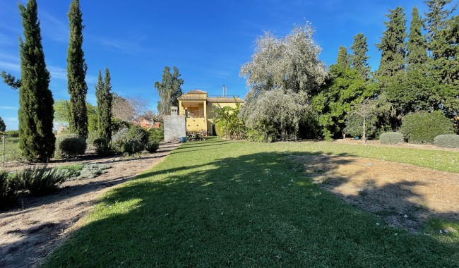 Begagnad - Finca - Daya Nueva