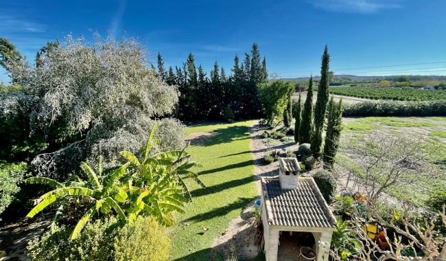 Begagnad - Finca - Daya Nueva