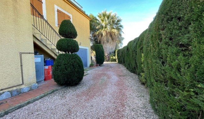 Begagnad - Finca - Daya Nueva