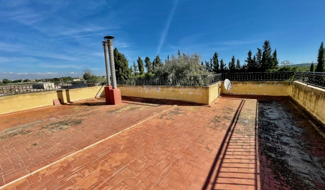 Begagnad - Finca - Daya Nueva