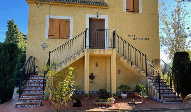 Begagnad - Finca - Daya Nueva