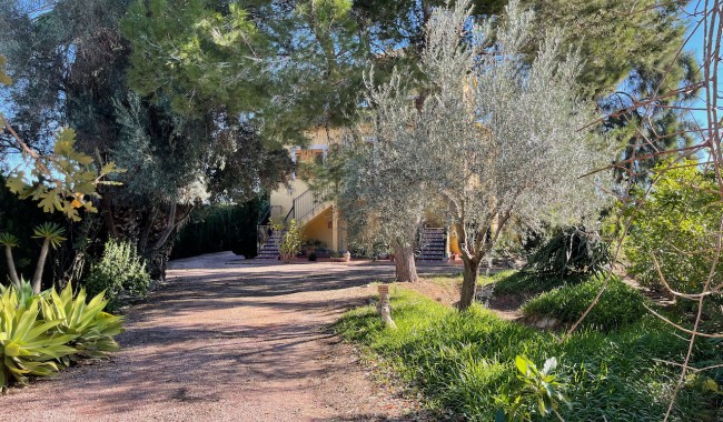 Begagnad - Finca - Daya Nueva