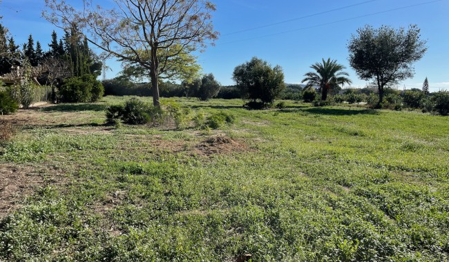 Begagnad - Finca - Daya Nueva