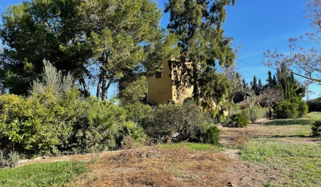 Begagnad - Finca - Daya Nueva