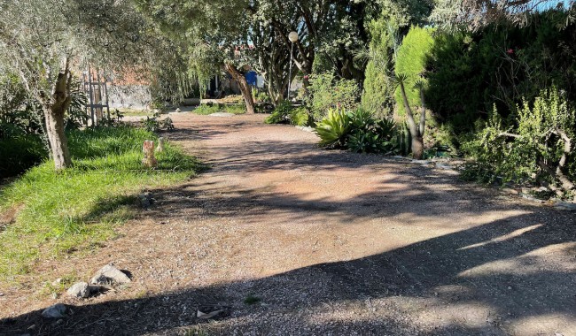 Begagnad - Finca - Daya Nueva