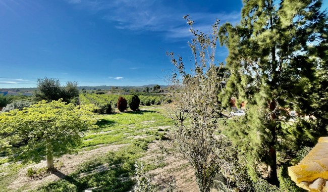 Begagnad - Finca - Daya Nueva