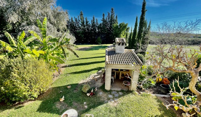 Begagnad - Finca - Daya Nueva