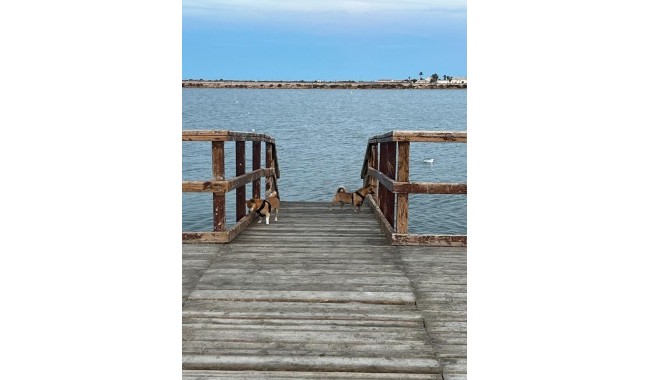 Resale - Townhouse - San Pedro del Pinatar - Los Antolinos