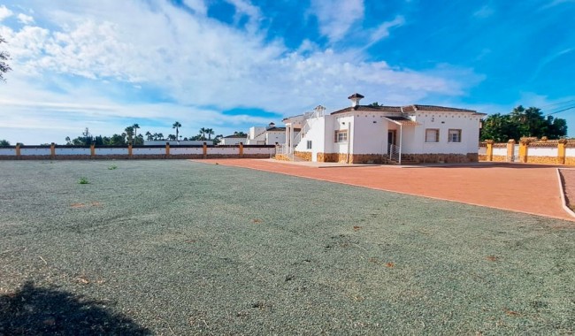 Begagnad - Finca - Catral - Catral - Country