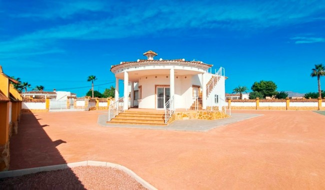 Begagnad - Finca - Catral - Catral - Country