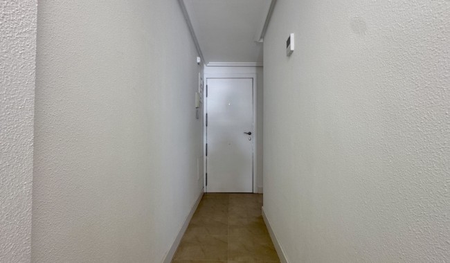 Segunda mano - Apartamento - Torrevieja