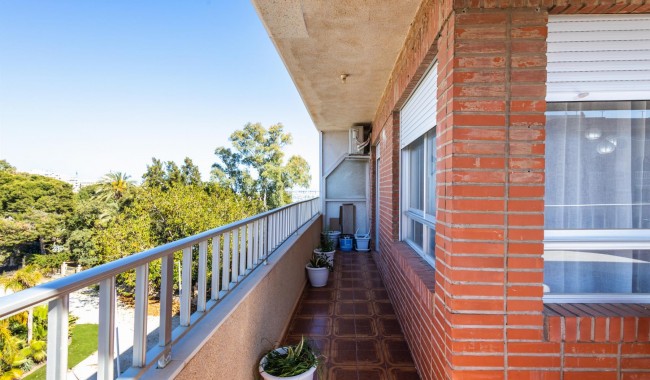 Begagnad - Lägenhet - Torrevieja - Playa de La Acequion